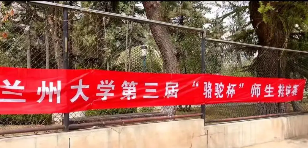 如何通过篮球表演赛制定有效的训练计划_1